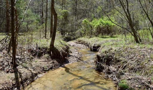 Photo of UNDER CONTRACT!  6 Acres of Hunting and Recreational Land with Cabin For Sale in Amherst County VA!