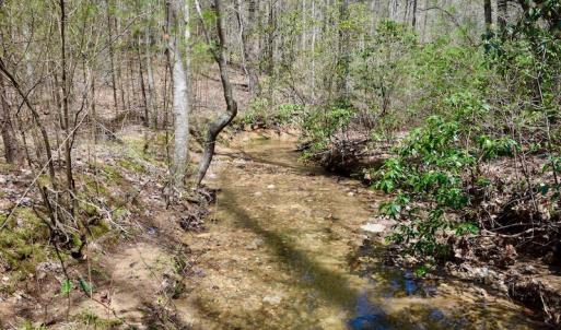 Photo of UNDER CONTRACT!  6 Acres of Hunting and Recreational Land with Cabin For Sale in Amherst County VA!