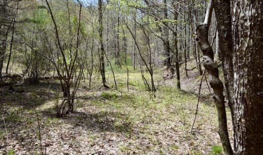 Photo of UNDER CONTRACT!  6 Acres of Hunting and Recreational Land with Cabin For Sale in Amherst County VA!