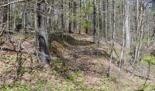 Photo of UNDER CONTRACT!  6 Acres of Hunting and Recreational Land with Cabin For Sale in Amherst County VA!