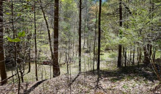Photo of UNDER CONTRACT!  6 Acres of Hunting and Recreational Land with Cabin For Sale in Amherst County VA!