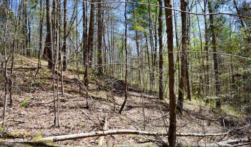Photo of UNDER CONTRACT!  6 Acres of Hunting and Recreational Land with Cabin For Sale in Amherst County VA!