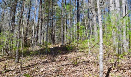 Photo of UNDER CONTRACT!  6 Acres of Hunting and Recreational Land with Cabin For Sale in Amherst County VA!