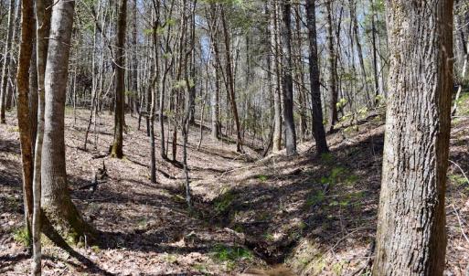 Photo of UNDER CONTRACT!  6 Acres of Hunting and Recreational Land with Cabin For Sale in Amherst County VA!