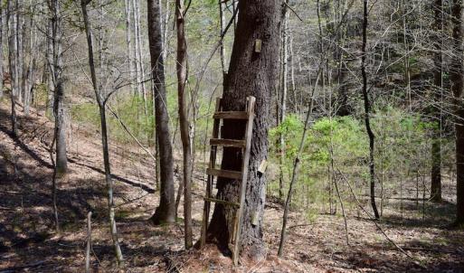 Photo of UNDER CONTRACT!  6 Acres of Hunting and Recreational Land with Cabin For Sale in Amherst County VA!