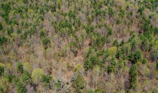 Photo of UNDER CONTRACT!  6 Acres of Hunting and Recreational Land with Cabin For Sale in Amherst County VA!
