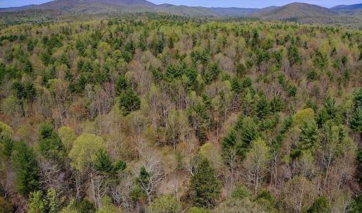 Photo of UNDER CONTRACT!  6 Acres of Hunting and Recreational Land with Cabin For Sale in Amherst County VA!