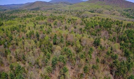 Photo of UNDER CONTRACT!  6 Acres of Hunting and Recreational Land with Cabin For Sale in Amherst County VA!