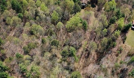 Photo of UNDER CONTRACT!  6 Acres of Hunting and Recreational Land with Cabin For Sale in Amherst County VA!
