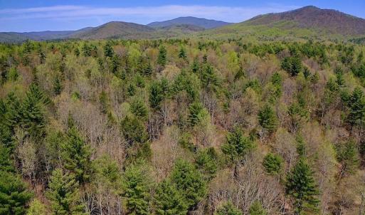 Photo of UNDER CONTRACT!  6 Acres of Hunting and Recreational Land with Cabin For Sale in Amherst County VA!