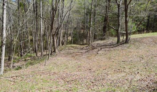 Photo of UNDER CONTRACT!  6 Acres of Hunting and Recreational Land with Cabin For Sale in Amherst County VA!