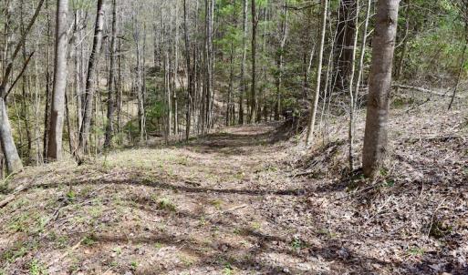 Photo of UNDER CONTRACT!  6 Acres of Hunting and Recreational Land with Cabin For Sale in Amherst County VA!