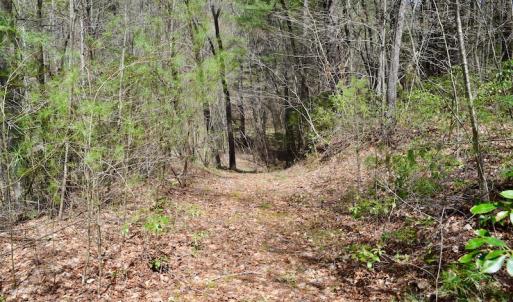 Photo of UNDER CONTRACT!  6 Acres of Hunting and Recreational Land with Cabin For Sale in Amherst County VA!