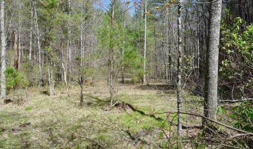 Photo of UNDER CONTRACT!  6 Acres of Hunting and Recreational Land with Cabin For Sale in Amherst County VA!