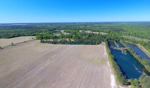 Photo of UNDER CONTRACT!  97.15 Acres of Farm and Hunting Land For Sale in Columbus County NC!