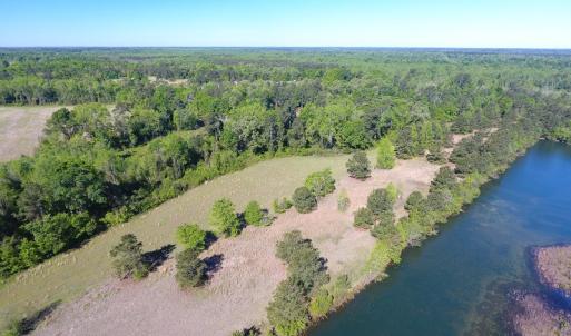 Photo of UNDER CONTRACT!  97.15 Acres of Farm and Hunting Land For Sale in Columbus County NC!