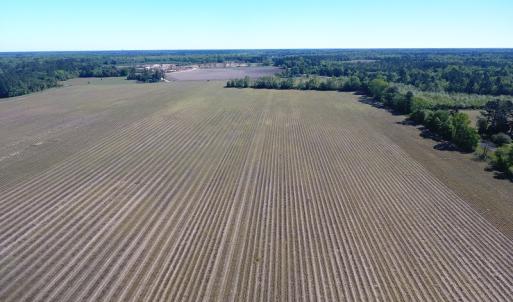 Photo of UNDER CONTRACT!  97.15 Acres of Farm and Hunting Land For Sale in Columbus County NC!