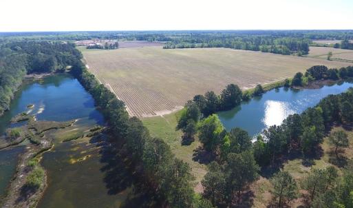Photo of UNDER CONTRACT!  97.15 Acres of Farm and Hunting Land For Sale in Columbus County NC!