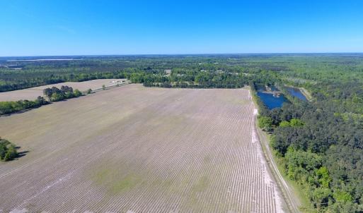 Photo of UNDER CONTRACT!  97.15 Acres of Farm and Hunting Land For Sale in Columbus County NC!