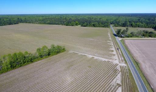 Photo of UNDER CONTRACT!  97.15 Acres of Farm and Hunting Land For Sale in Columbus County NC!