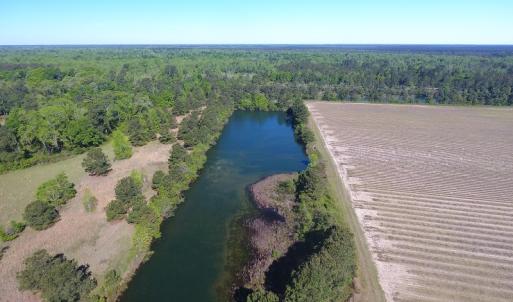 Photo of UNDER CONTRACT!  97.15 Acres of Farm and Hunting Land For Sale in Columbus County NC!