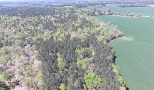 Photo of UNDER CONTRACT!  22 Acres of Residential and Recreational Land For Sale in Suffolk VA!