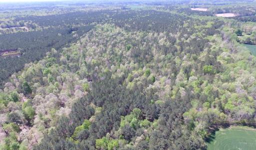 Photo of UNDER CONTRACT!  22 Acres of Residential and Recreational Land For Sale in Suffolk VA!