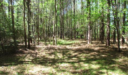 Photo of UNDER CONTRACT!  22 Acres of Residential and Recreational Land For Sale in Suffolk VA!