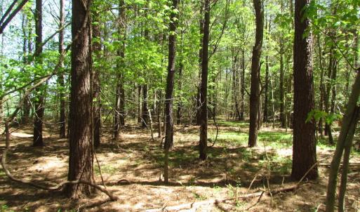 Photo of UNDER CONTRACT!  22 Acres of Residential and Recreational Land For Sale in Suffolk VA!