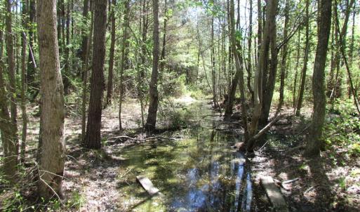Photo of UNDER CONTRACT!  22 Acres of Residential and Recreational Land For Sale in Suffolk VA!