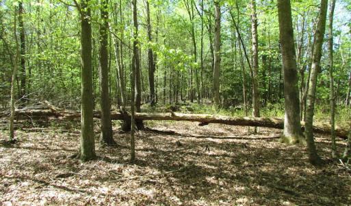 Photo of UNDER CONTRACT!  22 Acres of Residential and Recreational Land For Sale in Suffolk VA!