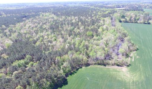 Photo of UNDER CONTRACT!  22 Acres of Residential and Recreational Land For Sale in Suffolk VA!