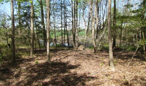 Photo of UNDER CONTRACT!  22 Acres of Residential and Recreational Land For Sale in Suffolk VA!