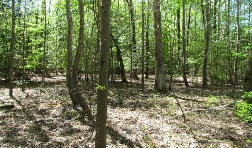 Photo of UNDER CONTRACT!  22 Acres of Residential and Recreational Land For Sale in Suffolk VA!