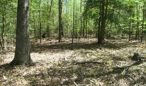 Photo of UNDER CONTRACT!  22 Acres of Residential and Recreational Land For Sale in Suffolk VA!