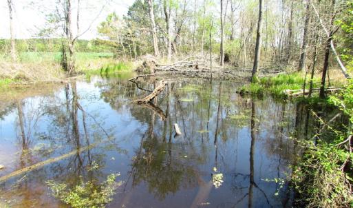 Photo of UNDER CONTRACT!  22 Acres of Residential and Recreational Land For Sale in Suffolk VA!