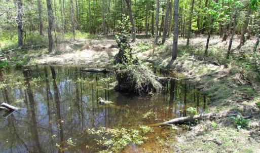 Photo of UNDER CONTRACT!  22 Acres of Residential and Recreational Land For Sale in Suffolk VA!