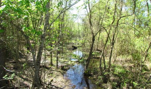 Photo of UNDER CONTRACT!  22 Acres of Residential and Recreational Land For Sale in Suffolk VA!