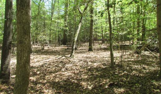 Photo of UNDER CONTRACT!  22 Acres of Residential and Recreational Land For Sale in Suffolk VA!