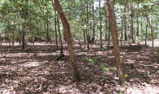 Photo of UNDER CONTRACT!  22 Acres of Residential and Recreational Land For Sale in Suffolk VA!