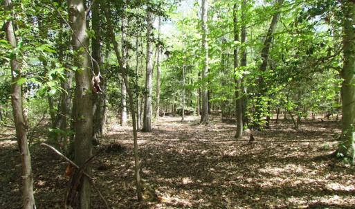 Photo of UNDER CONTRACT!  22 Acres of Residential and Recreational Land For Sale in Suffolk VA!
