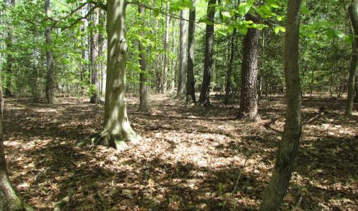 Photo of UNDER CONTRACT!  22 Acres of Residential and Recreational Land For Sale in Suffolk VA!