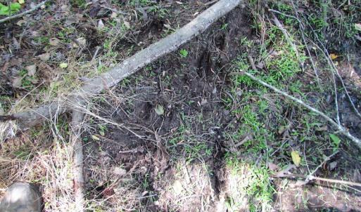 Photo of UNDER CONTRACT!  22 Acres of Residential and Recreational Land For Sale in Suffolk VA!