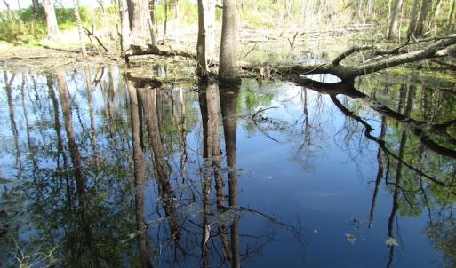 Photo of UNDER CONTRACT!  22 Acres of Residential and Recreational Land For Sale in Suffolk VA!