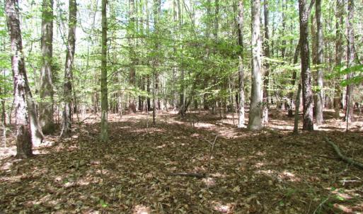 Photo of UNDER CONTRACT!  22 Acres of Residential and Recreational Land For Sale in Suffolk VA!