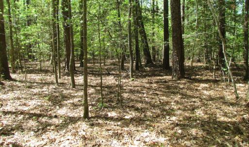 Photo of UNDER CONTRACT!  22 Acres of Residential and Recreational Land For Sale in Suffolk VA!
