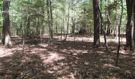 Photo of UNDER CONTRACT!  22 Acres of Residential and Recreational Land For Sale in Suffolk VA!