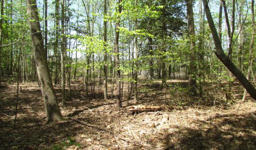 Photo of UNDER CONTRACT!  22 Acres of Residential and Recreational Land For Sale in Suffolk VA!