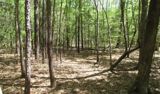 Photo of UNDER CONTRACT!  22 Acres of Residential and Recreational Land For Sale in Suffolk VA!