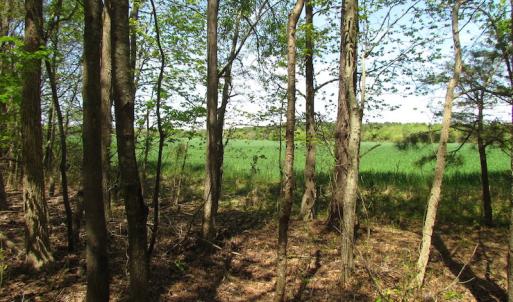 Photo of UNDER CONTRACT!  22 Acres of Residential and Recreational Land For Sale in Suffolk VA!